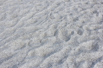 Close up of Beach Sand at Bradenton Beach Florida