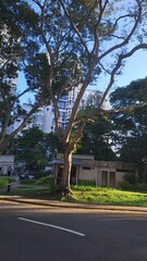 Happy and Good Moring In Residential Area Of Singapore