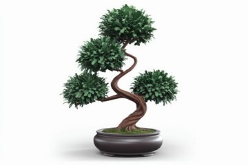 A meticulously crafted bonsai tree, showcasing its elegant, twisted trunk and lush, green foliage in a dark pot.