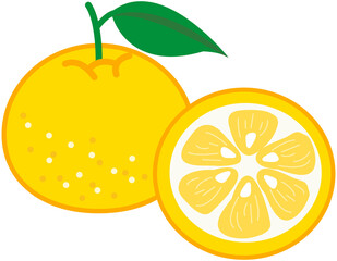 Pomelo Happy Mid Autumn Festival Full Moon Icon 
