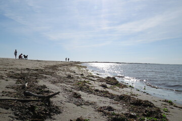Arles oiseaux ciel mer bateaux