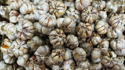 fresh garlic in the market