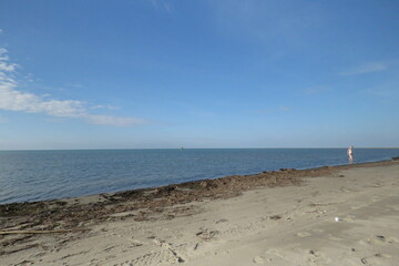Vacances océan beauduc camargue surf 