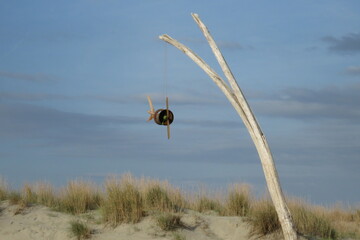 Vacances oc&eacute;an beauduc camargue surf 