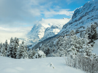 Beautiful views of the winter mountain peaks - the best place for a holiday. Grindelwald, Swiss Alps