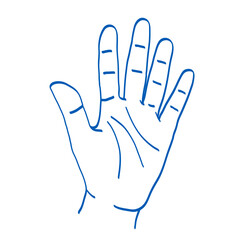Hand gesture sketch. Counting with fingers. One, two, three, four and five. Palm. Index, middle, ring, little fingers and thumb
