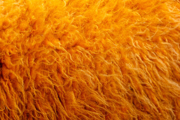 The fur is orange and has a lot of texture