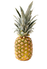 A pineapple is sitting on a white background
