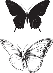 Silhouette of a butterfly black and white