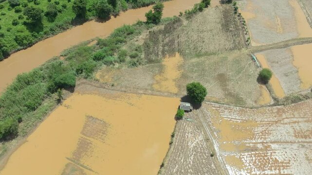 Flash flood destroys corn and vegetable crop in Southeast asia.