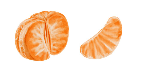  Peeled tangerine and tangerine slice. Half a citrus fruit. Set of orange juicy tangerines. Watercolor illustration isolated from background