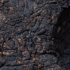 Closeup View of the Intricate Texture Found on Charred Wood Surfaces and Details