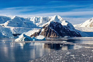 Glacier and Iceberg in the Antarctic Landscape	