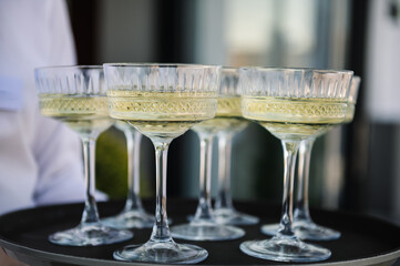 Waiter holding glasses in backyard. The waiter serving champagne on tray. Tray of glasses of summer sparkling wine for guests at wedding reception. Woman brings full glasses of champagne closeup.