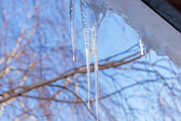 a shiny cold icicle hangs from the roof on a bright spring day