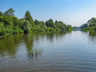 Sunny summer landscape with a river. The river in the Kaluga region of Russia. quiet Sunny day. Calm. Cloudless blue sky.