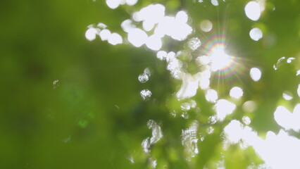 Sun Shines Through Leaves Of Tree. Fresh Green Forest Beautifully Illuminated By Warm Rays Of...