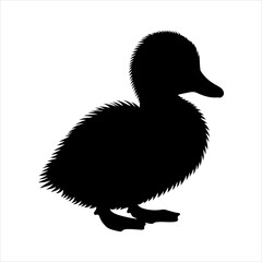 Duck silhouette vector illustration on white background 
