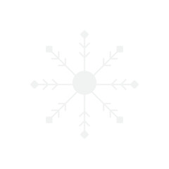 Snowflake  vector icon