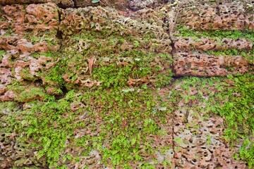 Sand stone walls of Preah Khan in Siem Reap, Cambodia