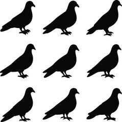 Obraz premium Pigeon birds and Hand drawn flying dove silhouette animal icon Vector illustration.