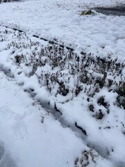 A winter road covered with snow, covered with frost, white snow