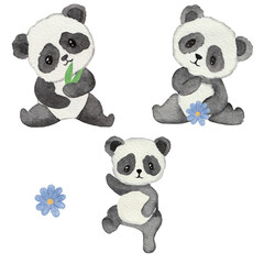 Cute Panda watercolour isolated on white background. Kawaii panda. Kids design. Watercolor baby illustration of cute funny animals. Bamboo.Baby shower invitation, baby room decor, kids art
