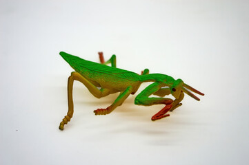 Green and brown plastic toy grasshopper isolated on a white background, showcasing detailed textures and lifelike features