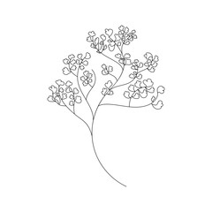 botanical doodle icon adiantum line illustration little branch. Suplir little plant