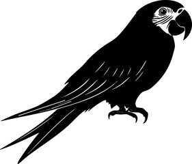 Fototapeta premium A stylized vector illustration of a parrot, showcasing its distinctive features and elegant form, perfect for nature-themed designs.
