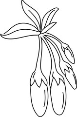 Outline drawing of goji berries on branch.