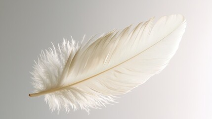 Obraz premium Soft white feather resting on a smooth surface with gentle light highlighting its delicate texture