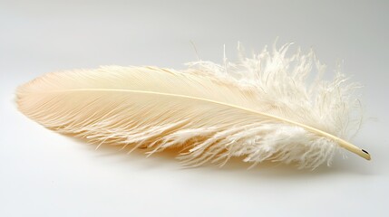 Fototapeta premium Delicate feather resting softly on a neutral background showcasing its intricate details and soft texture