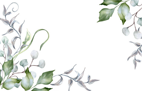 Watercolor border of holly branches in delicate soft colors isolated. Foliage banner of curly vine and twigs hand drawn in sage green. Greenery template frame for nature design, wedding stationary.