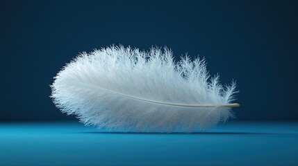 Elegant white feather resting on a blue surface in soft light, highlighting delicate texture and form