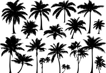 A collection of palm tree silhouettes, perfect for tropical-themed designs, backgrounds, or nature-related projects.