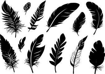 A collection of various black silhouette feathers, showcasing unique shapes and designs suitable for artistic and decorative purposes.