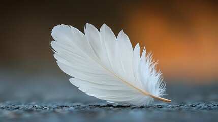 Naklejka premium Delicate white feather resting on a textured surface during soft evening light