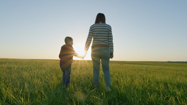 Young Mother Go With Son On Field In Evening. Happy Family Together. Family Mothers Day Funny On Nature. Mom And Son Of Five Years Old Walk In Field Or Park At Sunset. Gimbal Stabilize.