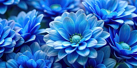 Obraz premium Close up of vibrant blue flowers in bloom, blue, flowers, close up, vibrant, blooming, garden, nature, petals, floral, beautiful