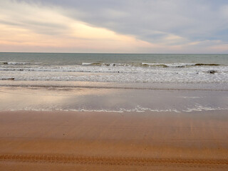 Doñana National Park. Ecosystems that host a unique biodiversity in Europe. The marsh stands out above all. It is one of the most important protected areas in Andalusia 