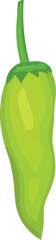 Green chili pepper with long curved stem.