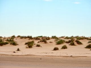 Do&ntilde;ana National Park. Ecosystems that host a unique biodiversity in Europe. The marsh stands out above all. It is one of the most important protected areas in Andalusia 