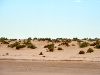 Doñana National Park. Ecosystems that host a unique biodiversity in Europe. The marsh stands out above all. It is one of the most important protected areas in Andalusia 