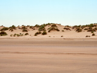 Doñana National Park. Ecosystems that host a unique biodiversity in Europe. The marsh stands out above all. It is one of the most important protected areas in Andalusia 