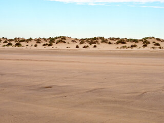 Doñana National Park. Ecosystems that host a unique biodiversity in Europe. The marsh stands out above all. It is one of the most important protected areas in Andalusia 