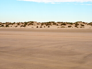 Doñana National Park. Ecosystems that host a unique biodiversity in Europe. The marsh stands out above all. It is one of the most important protected areas in Andalusia 