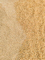 The title of the stock photo Background texture of processed organic wheat seeds and grains