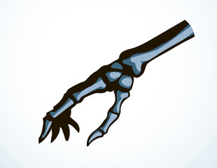 Vector drawing. Bones of the hand