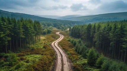 Aerial view of a winding dirt road through a lush green forest on a cloudy day.